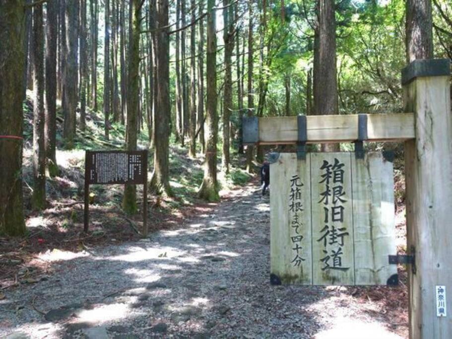 Ek House Hakone Shushinso 箱根修身荘 Villa Esterno foto