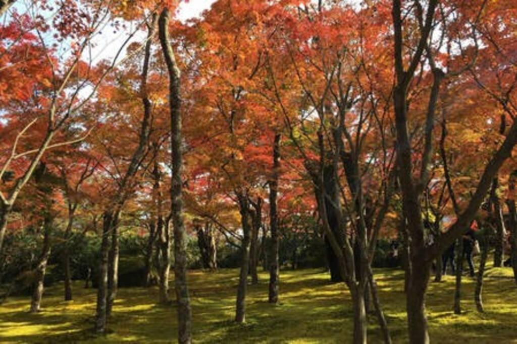 Ek House Hakone Shushinso 箱根修身荘 Villa Esterno foto